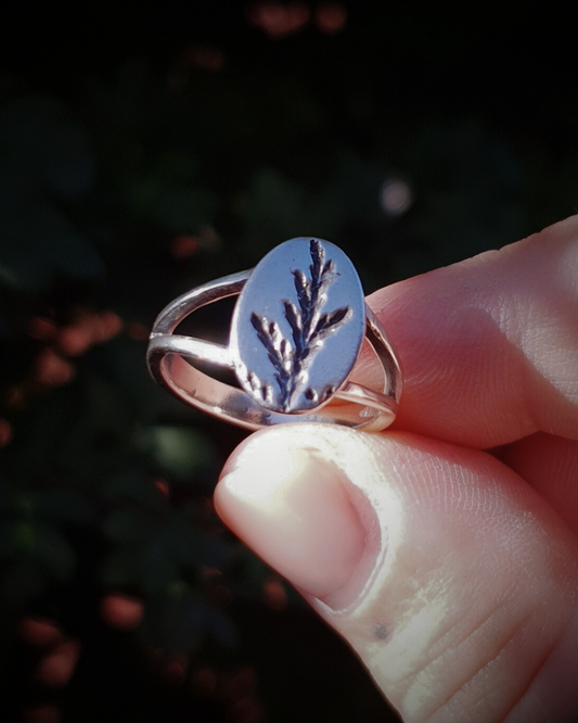 A silver ring is held between a finger and thumb against a dark green background.
The rings features an oval top with an oxidised cypress sprig pressing and a split band.