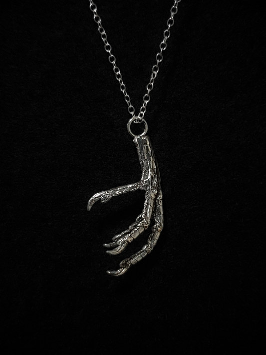 A solid silver casting of a pigeon claw hangs against a black background. This is a pendant and hung on a silver chain.