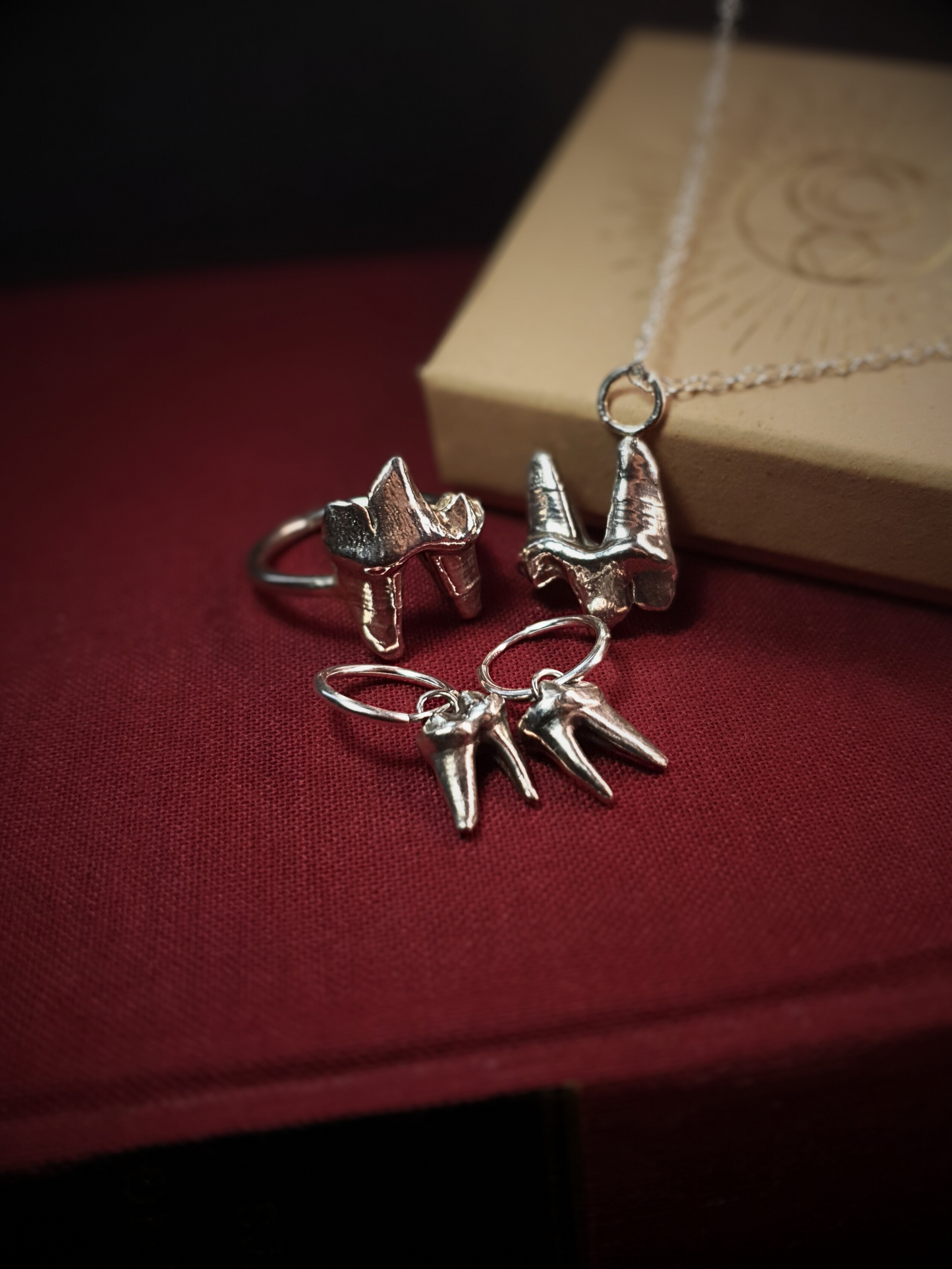 Large Fox Tooth Set
