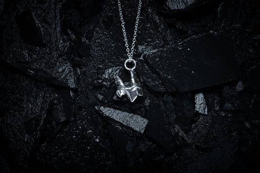 A silver necklace made from the casting of a baby fox tooth sits on a background of wet, black slate. The photograph is taken from the top down. This is a stunning taxidermy style pendant for fans of alternative jewellery, folklore and witchy, gothic aesthetics.