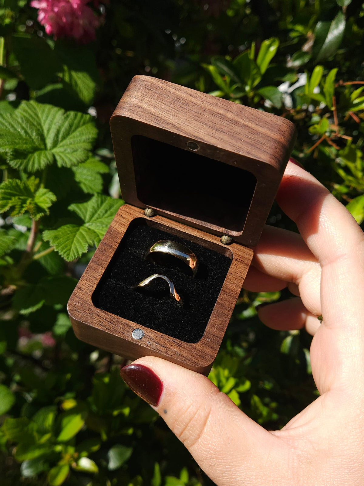 A hand holding a luxury walnut wood ring box with a black velvet insert,. It is open & contains two gold wedding rings, set against a background of green garden foliage and pink flowers.