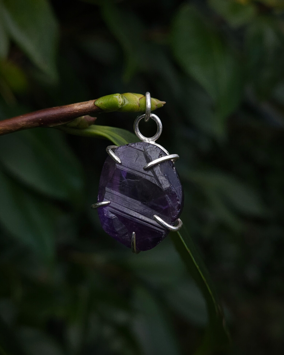 An oval shaped, rough-cut amethyst pendant hangs from a thin budded twig, against a dark green natural background. It is a rich purple colour and is clutched by 5 sterling silver claws.