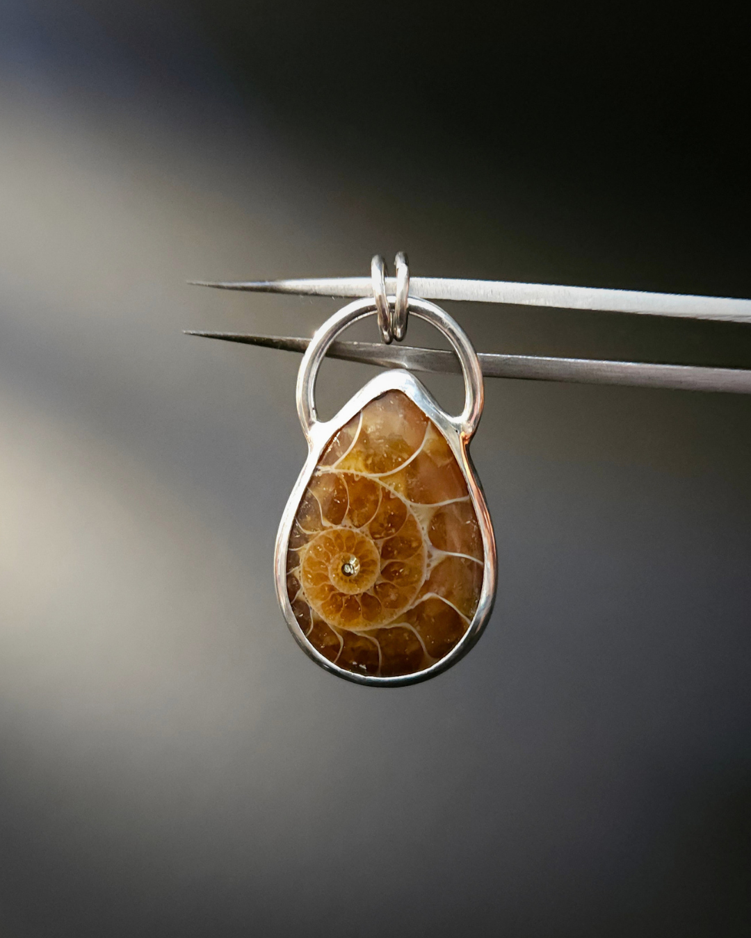 Golden, honey-coloured ammonite fossil pendant in a sterling silver setting.  Teardrop shaped. Held by silver tweezers against a dark background.