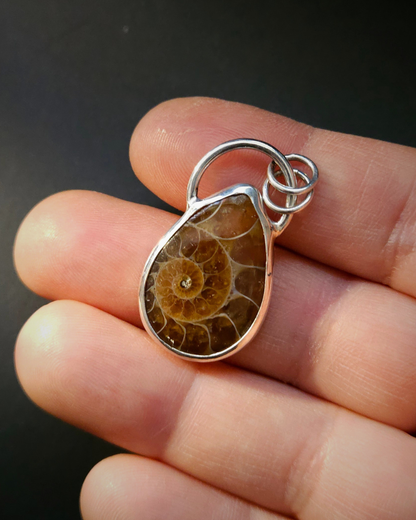 Golden, honey-coloured ammonite fossil pendant in a sterling silver setting.  Teardrop shaped. Held in an open hand against a dark background.