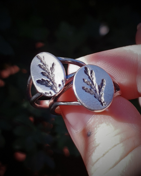 2 silver rings are held between a finger and thumb against a dark green background.
The rings are comprised of an oval top with oxidised cypress sprig detail and a split band.