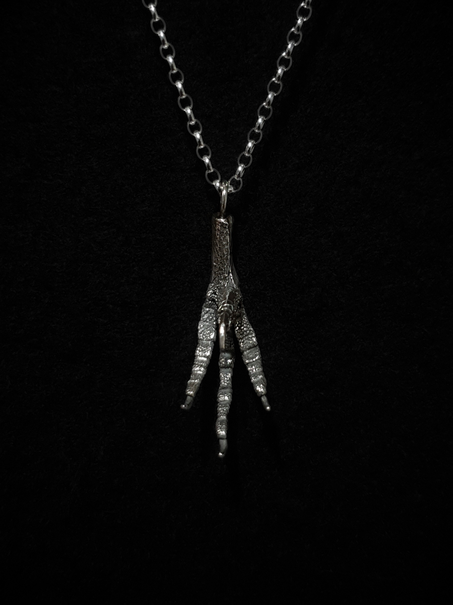 A solid silver casting of a pigeon claw hangs against a black background. This is a pendant and hung on a silver chain.