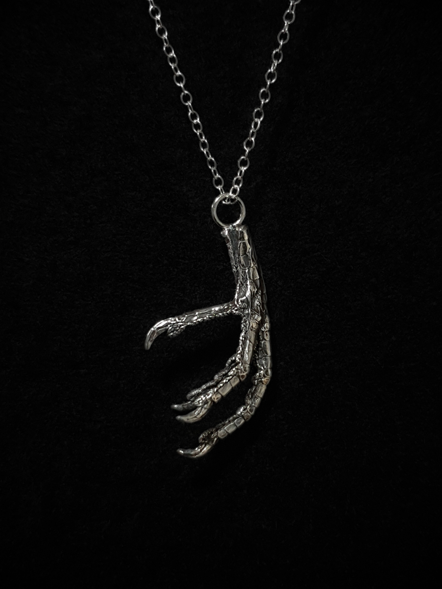 A solid silver casting of a pigeon claw hangs against a black background. This is a pendant and hung on a silver chain.