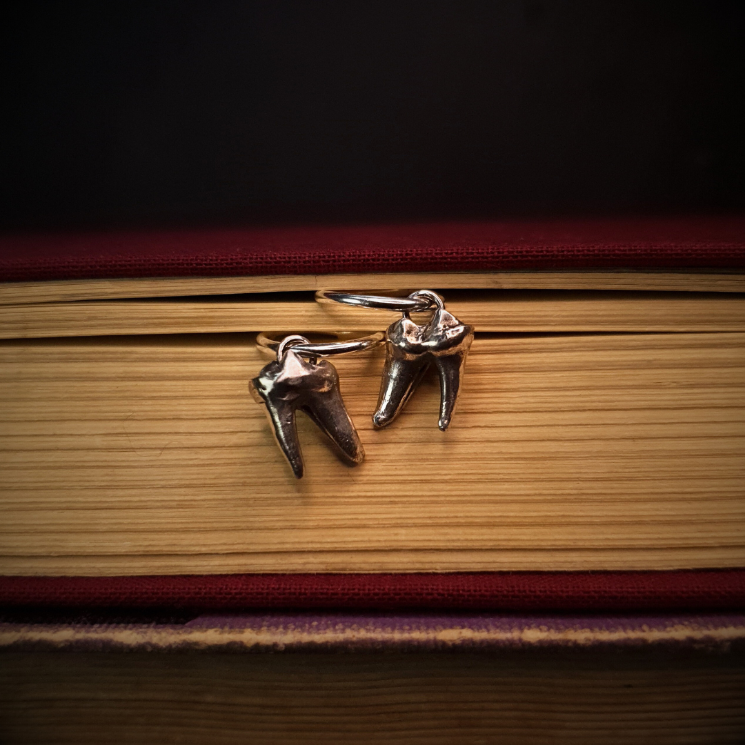 Two silver fox tooth hoop earrings are held by the hoops between the pages of an old, red, cloth-bound book. The teeth hang down.