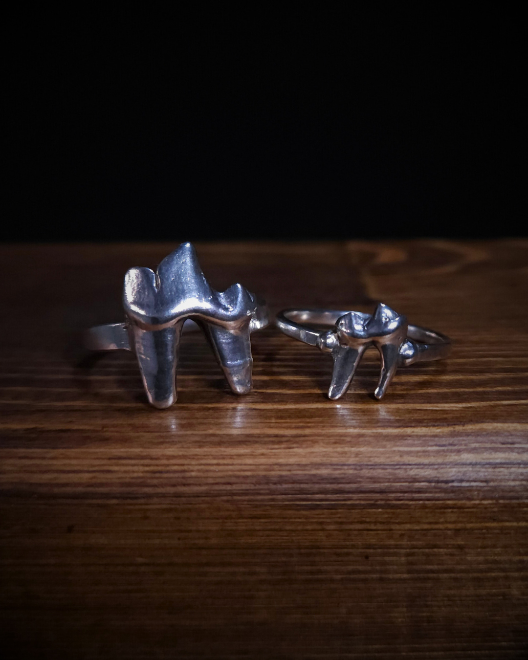 2 sterling silver fox tooth rings sit on a wooden surface. The one on the left is larger than the one on the right, clearly displaying the size differences between the teeth.