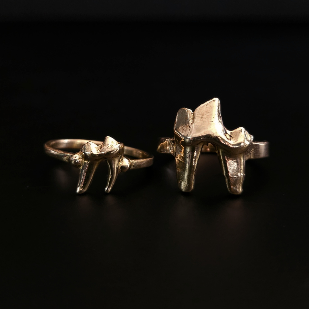 Two luxury gothic style, solid gold rings made using the castings of real fox teeth, sit against a black background, photographed from the front. The 9 carat yellow gold rings have visble natural texture of the foxes teeth from their lives in the wilderness. These high quality rings are perfect for fans of a witchy and folkloric aesthetics and fans of alternative fashion and taxidermy.