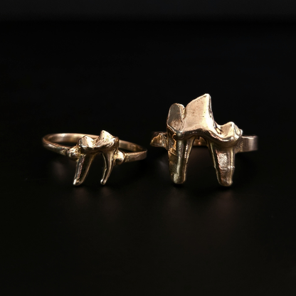 Two luxury gothic style, solid gold rings made using the castings of real fox teeth, sit against a black background, photographed from the front. The 9 carat yellow gold rings have visble natural texture of the foxes teeth from their lives in the wilderness. These high quality rings are perfect for fans of a witchy and folkloric aesthetics and fans of alternative fashion and taxidermy.