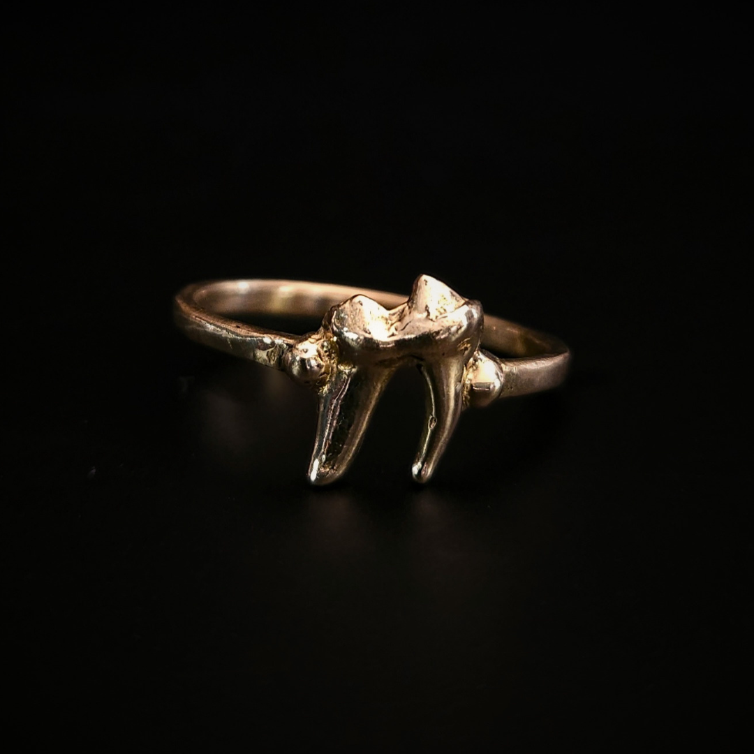 A dainty, alternative style, 9 carat yellow gold ring made using the casting of a real baby fox tooth, sits against the black background, photographed from the front. The pale silver ring has the textures of the foxes tooth from its life in the wilderness. It perfect for fans of a witchy and gothic aesthetic and fans of the unusual and oddities