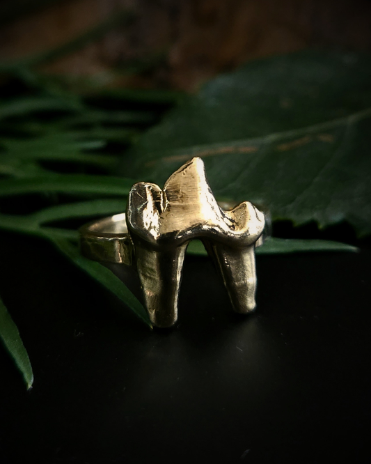 A chunky, luxury, solid gold ring made using the casting of a real fox tooth, sits on a black surface amongst natural green foliage and bark. The yellow gold ring is in an alternative, witchy, gothic, alternative style for fans of taxidermy, oddities and the occult.
