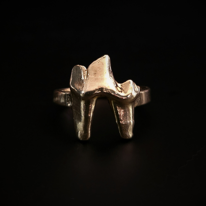 A chunky, luxury, solid gold ring made using the casting of a real fox tooth, sits against the black background, photographed from the front. The yellow gold ring is in an alternative,  style for fans of folklore, natural history and the unusual.