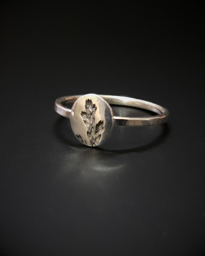 Cypress Print Ring