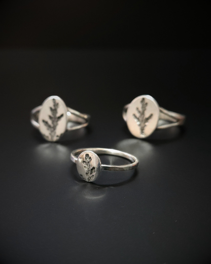 Cypress Print Ring