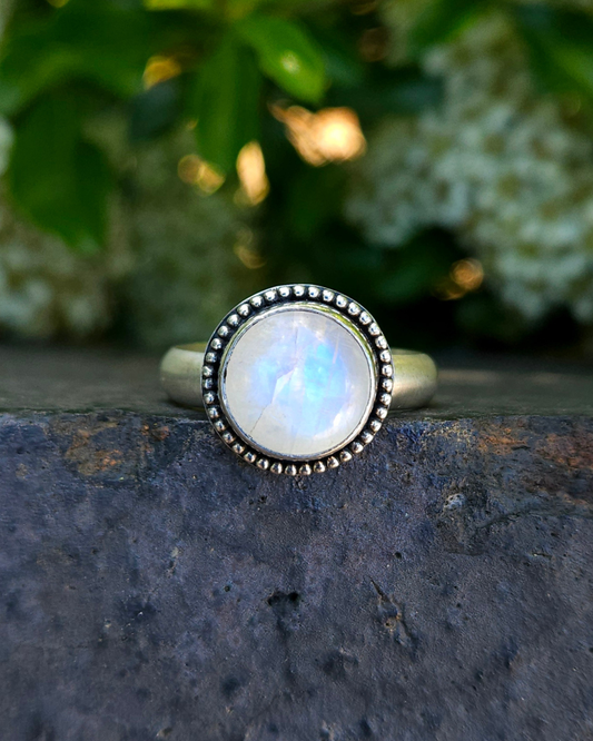 A sterling silver and round rainbow moonstone ring sit atop a garden wall with green foliage and white flowers in the background. The moonstone has a beaded surround and the gemstone shows a beautiful, blue, luminescence throughout.