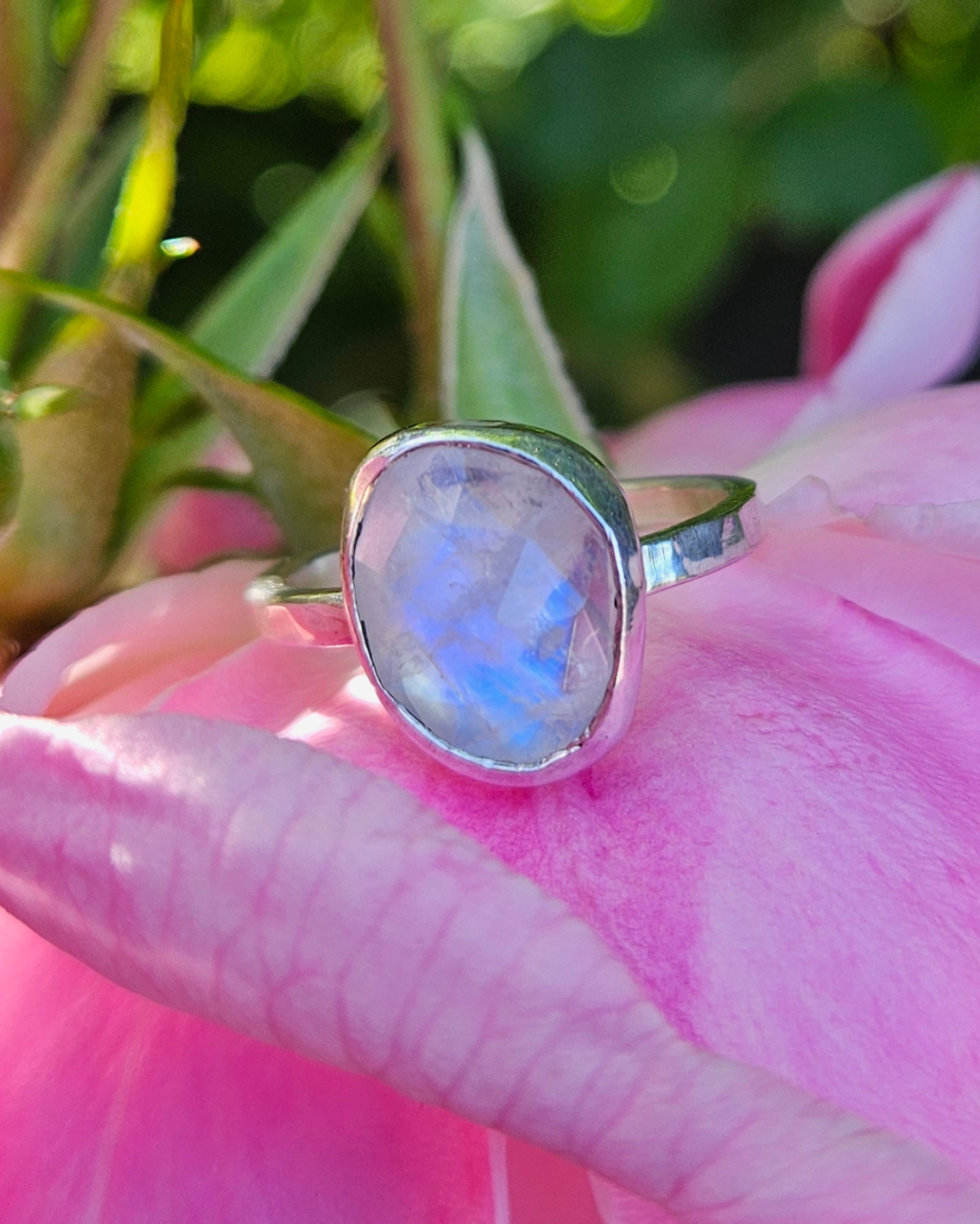 A freeform rainbow moonstone, sterling silver ring sit on top of a pink rose, with green foliage in the background. The responsibly sourced gemstone is rose-cut and shows a lovely, ethereal, blue, luminescence.
