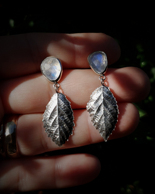 Two dangly silver stud earrings sit in an open palm to demonstrate their size. They are comprised of two bezel-set, faceted rainbow moonstones of irregular pear shapes. Below them hang each a solid silver bramble leaf roughly twice the size of the gemstones. They are attached by tiny jump rings so they can move freely. The leaves are complete with natural details including veins. The earrings are illuminated in natural sunlight which demonstrate the luminescence of the moonstones.