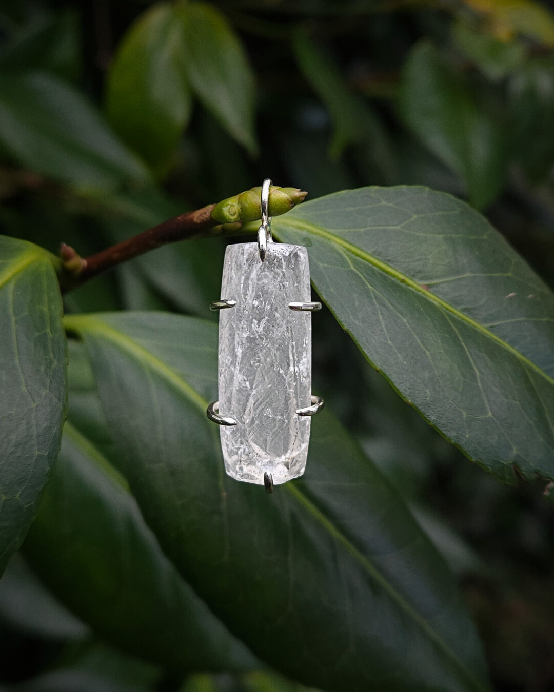 A clear, translucent, rectangular quartz pendant is hanging from a thin branch, amongst luscious green leaves. The stone is gripped by 6, simple, sterling silver claws. The photograph shows the pendant from the front.
