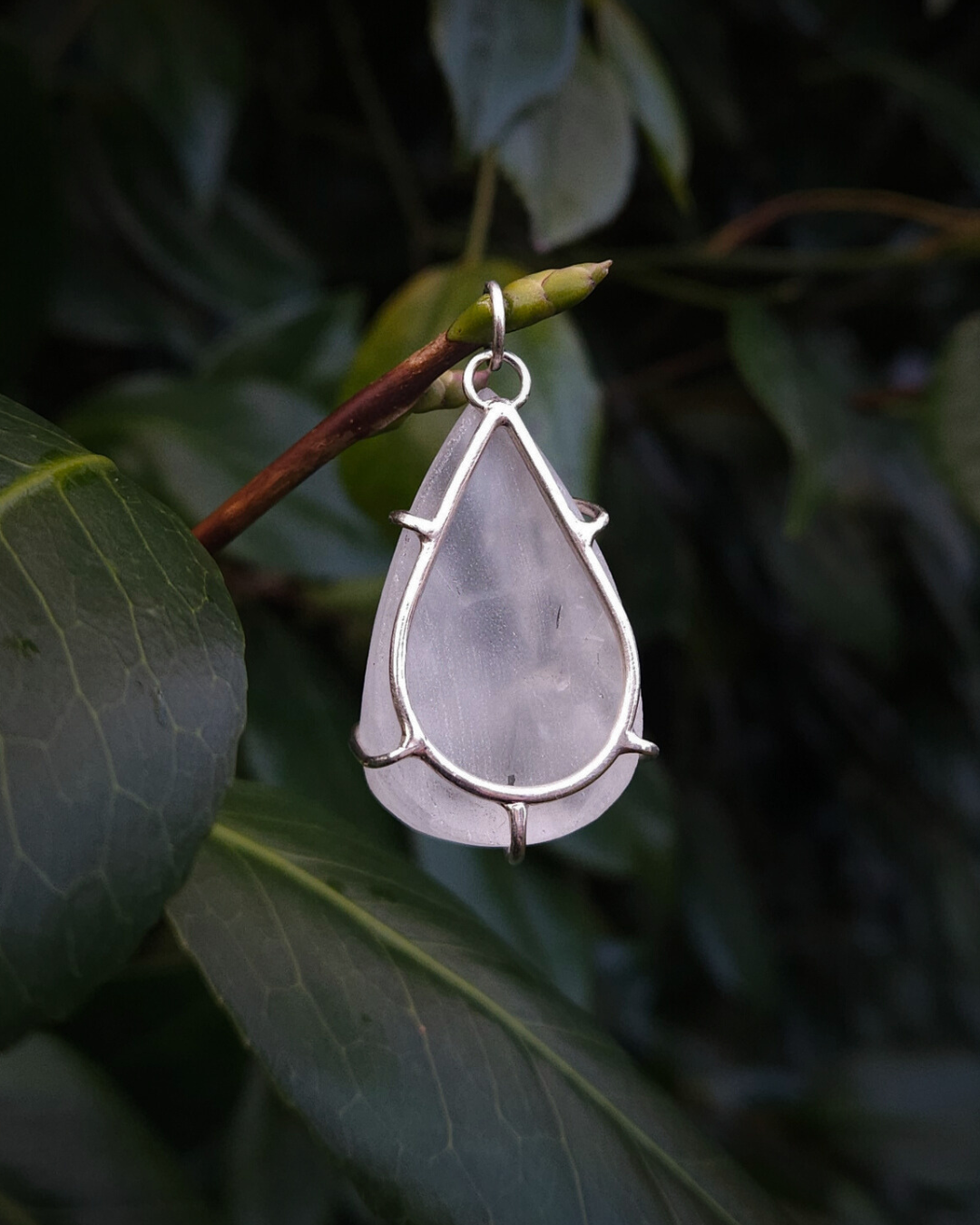 A clear quartz pendant hangs from a thin branch, amongst large, dark green foliage.  The photograph shows the pendant from the back to demonstrate its minimalist .925 silver design which allows the light to shine through and illuminate the teardrop shaped stone.
