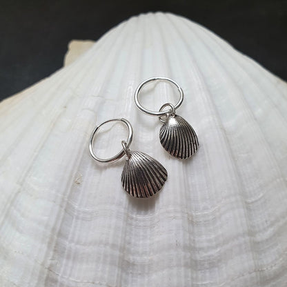 A pair of fine silver shell earrings sit on a large, white clamshell