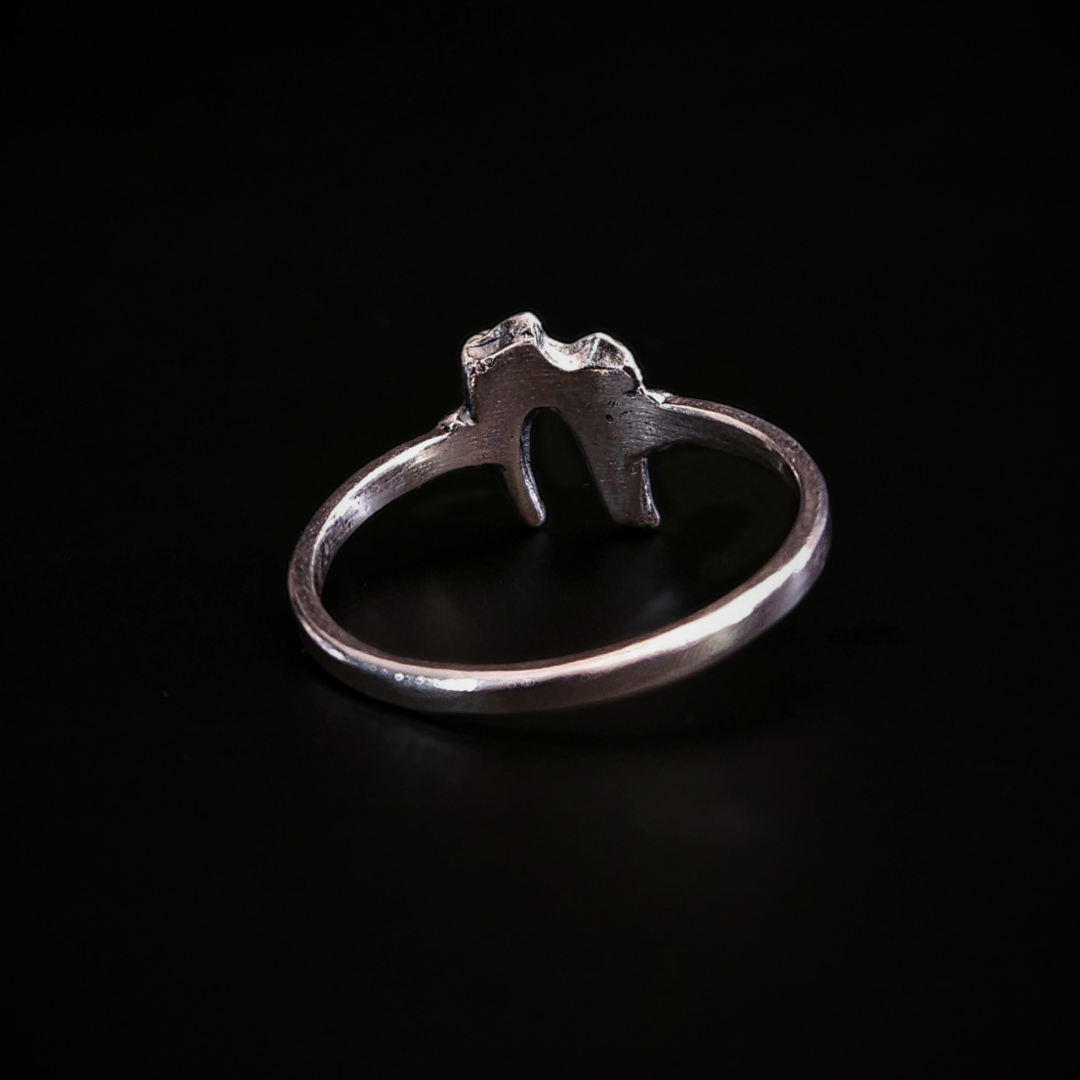 A dainty, alt style, solid silver ring made using the casting of a real baby fox tooth, sits against the black background, photographed from the back to show that the inside of the ring is smooth for a comfortable wear. The pale silver ring has been oxidised to show the natural wear and texture of the foxes tooth from its life in the wild. It perfect for fans of a witchy and gothic aesthetic and fans of folklore and natural history.