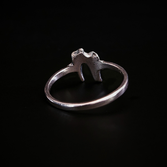 A dainty, alt style, solid silver ring made using the casting of a real baby fox tooth, sits against the black background, photographed from the back to show that the inside of the ring is smooth for a comfortable wear. The pale silver ring has been oxidised to show the natural wear and texture of the foxes tooth from its life in the wild. It perfect for fans of a witchy and gothic aesthetic and fans of folklore and natural history.