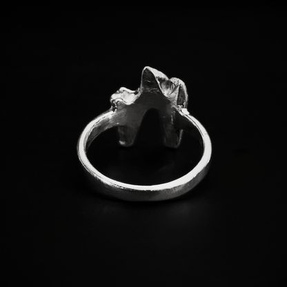 A chunky, luxury, solid silver ring made using the casting of a real fox tooth, sits against the black background. It has been photographed from the back to show that the inside of the ring is completely smooth for a comfortable wear. The pale silver ring is in an alternative, heavy metal style for fans curios, oddities, taxidermy and skeletons.