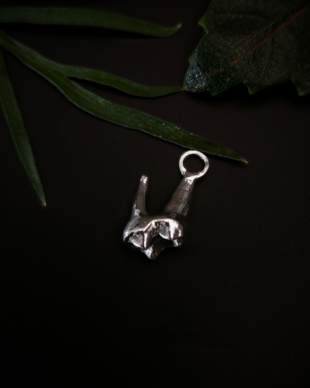 a small, silver pendant made from the casting of a baby fox tooth sits on a black background with a few pieces of green foliage around it. The photograph is taken from the top down. This is a dainty taxidermy style pendant for fans of gothic jewellery, the macabre, unusual and taxidermy.