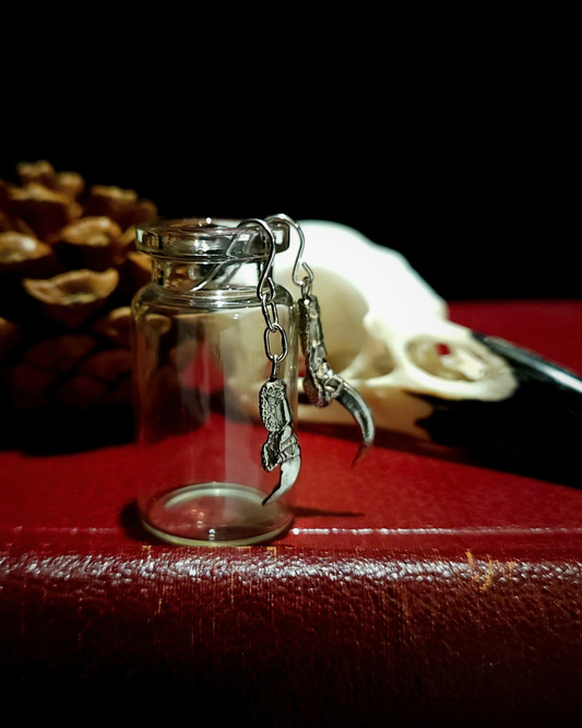 A pair of solid silver bird talon earrings are hooked over a small glass spell bottle.
The photograph is styled in a dark academia, gothic nature style with a real bird skull and pine cone displayed behind it.  They all sit on dark red, vintage book against a black background.