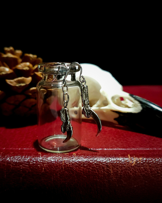 A pair of solid silver bird talon earrings are hooked over a small glass vial
The photograph is styled in a gothic folklore, dark academia theme with a  bird skull and pine cone displayed behind it.  They all sit on dark red, vintage book against a black background.