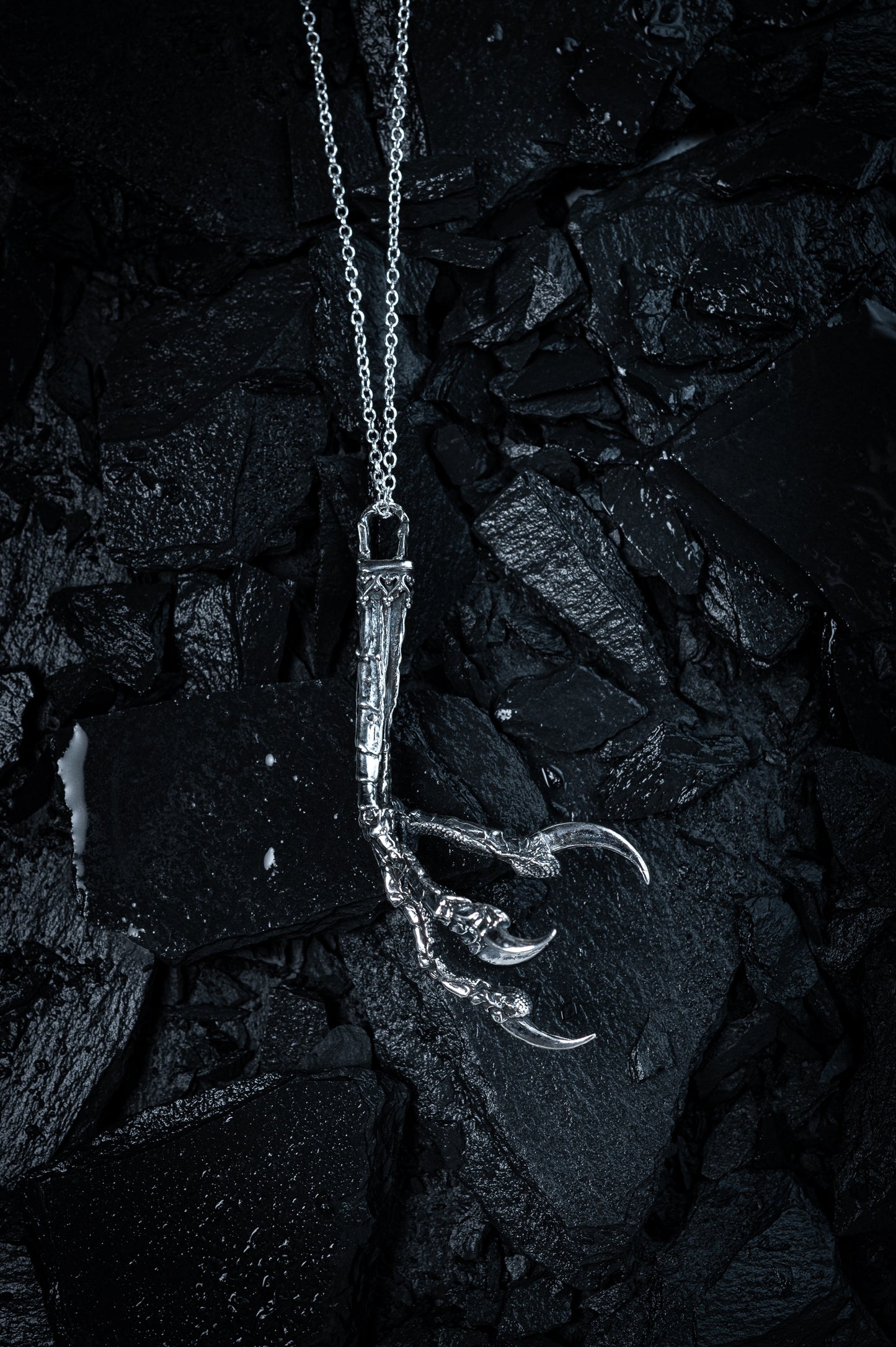 Jackdaw Talon Pendant