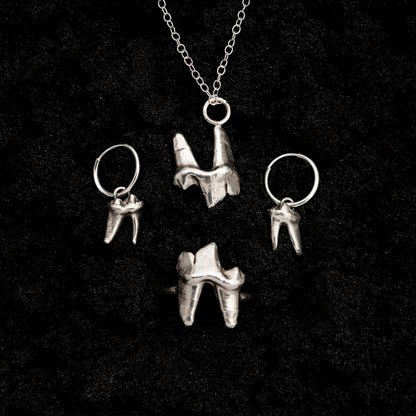 Large Fox Tooth Set