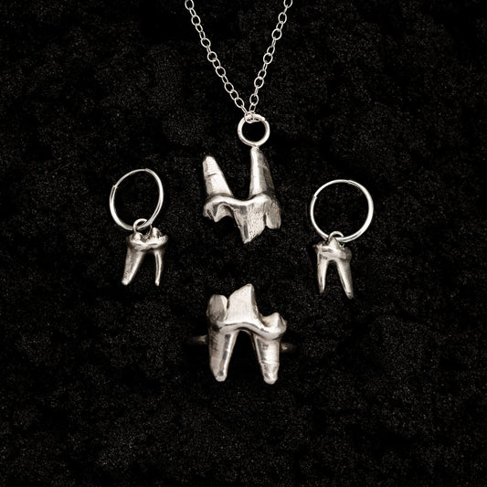 Large Fox Tooth Set