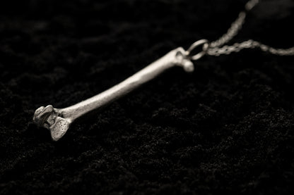 Silver Bone Necklace Laying on Black Sand