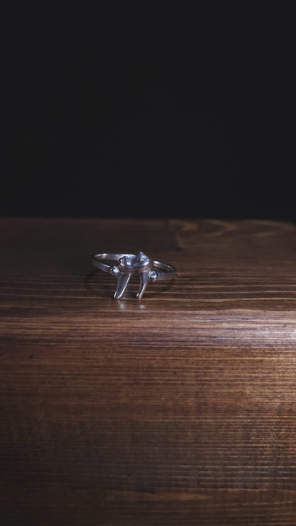 A stop motion video shows a sterling silver fox tooth ring rotating clockwise so you can see it from all angles.