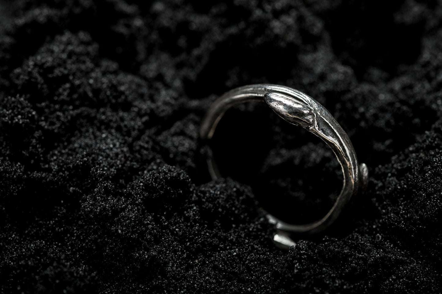 Botanist Ring - Silver