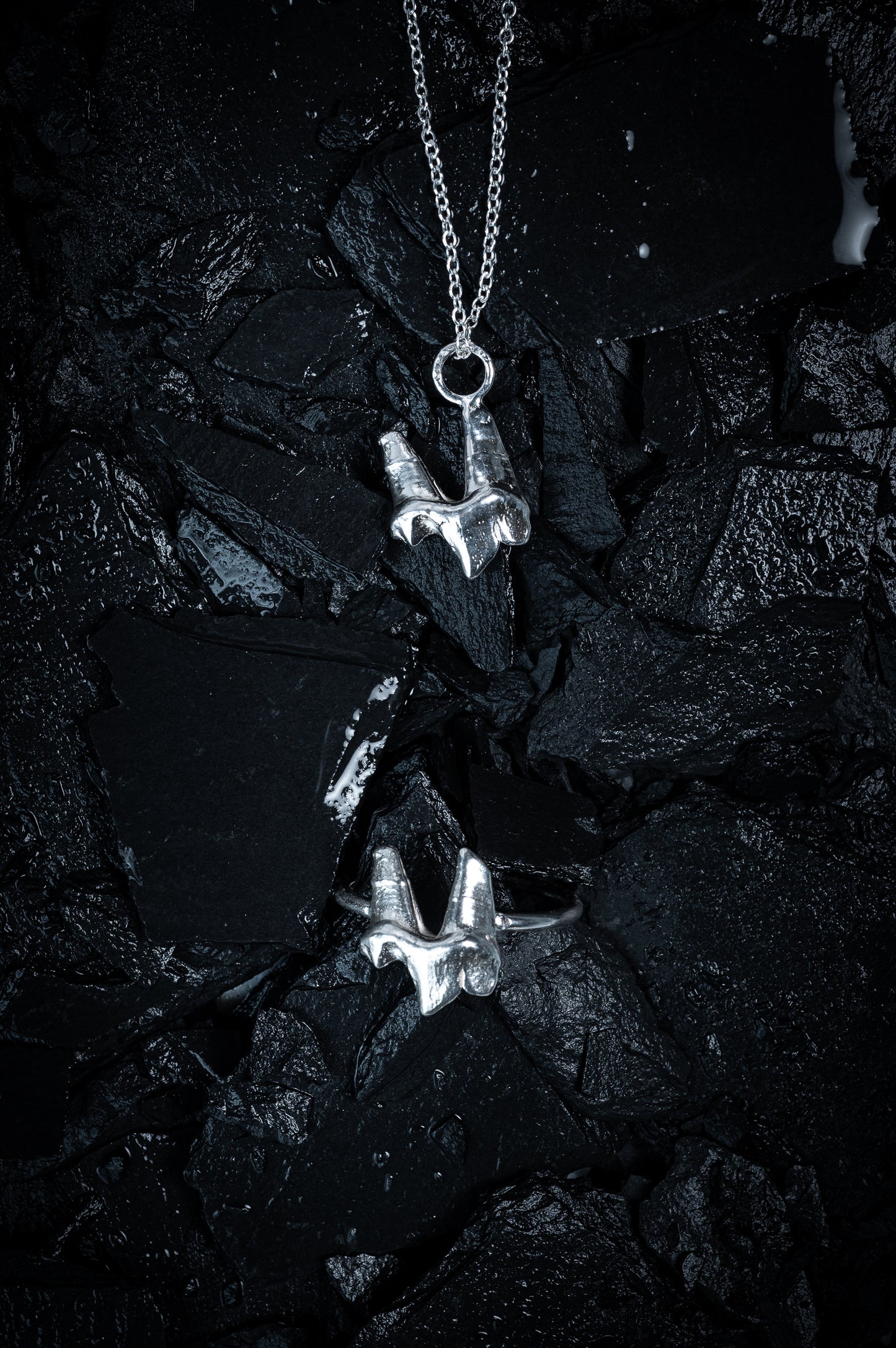 A silver necklace made from the casting of a fox tooth, and a ring in the same style, sit on a background of wet, black slate. The photograph is taken from the top down. This is a stunning taxidermy style jewellery set for fans of alternative jewellery, folklore and witchy, gothic aesthetics.