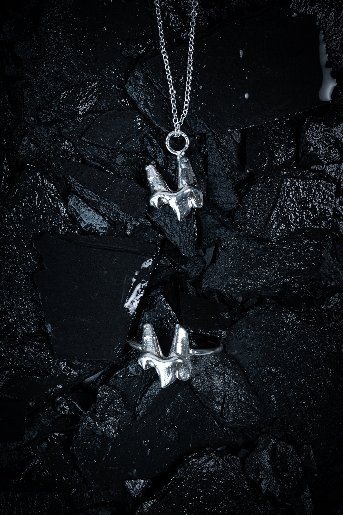 A silver necklace made from the casting of a fox tooth, and a ring in the same style, sit on a background of wet, black slate. The photograph is taken from the top down. This is a stunning taxidermy style jewellery set for fans of alternative jewellery, folklore and witchy, gothic aesthetics.