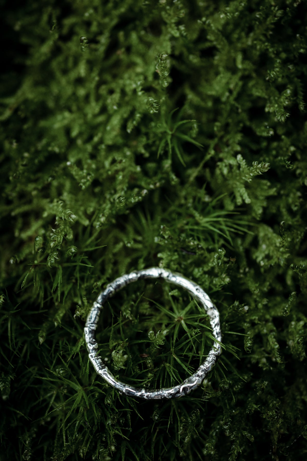 A sterling silver ring made from the casting of a thin twig lays on a bed of soft fresh moss in the woods.